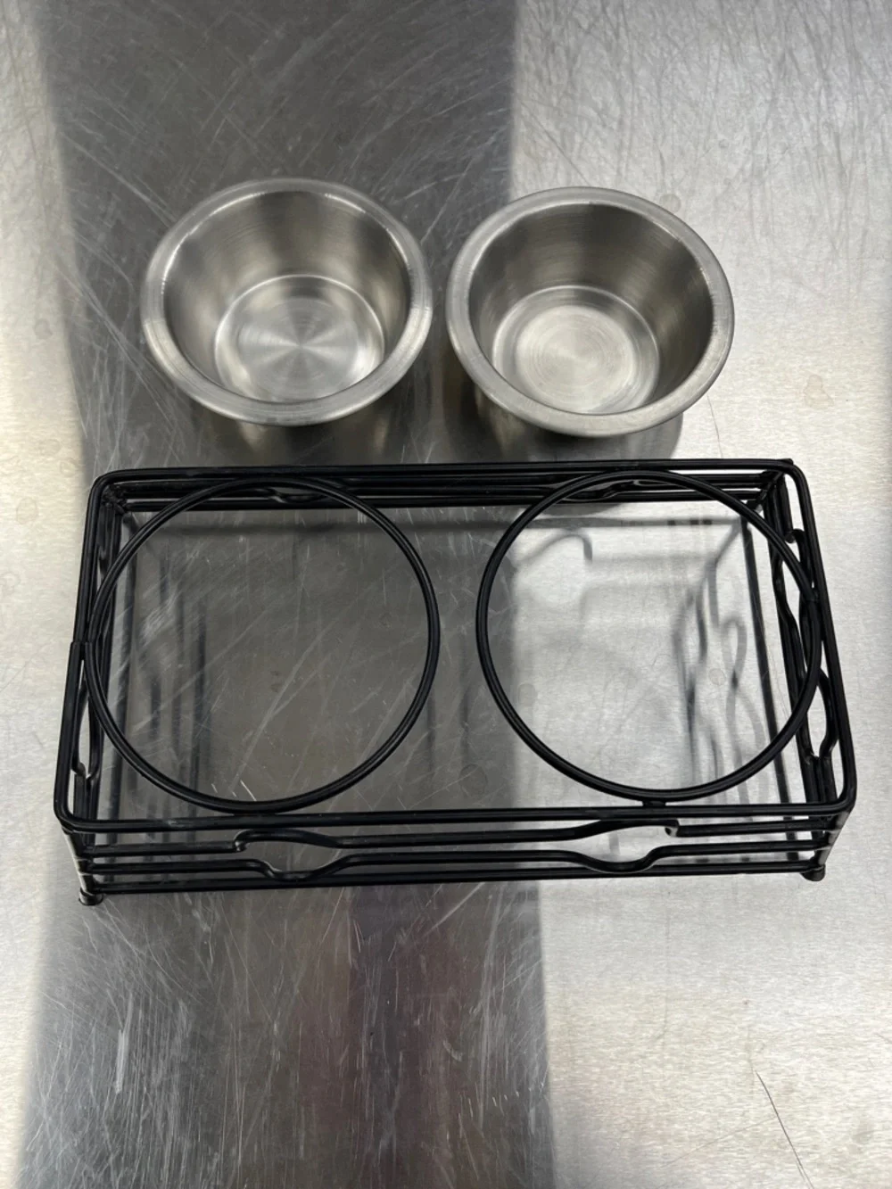 Vibrant Stainless Steel Pet Bowl with Blue Label